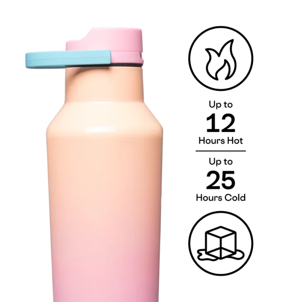 SPORT CANTEEN CORKCICLE 20OZ LOVER PNK - Image 2
