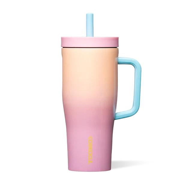 CORKCICLE CRUISER 22OZ LOVER