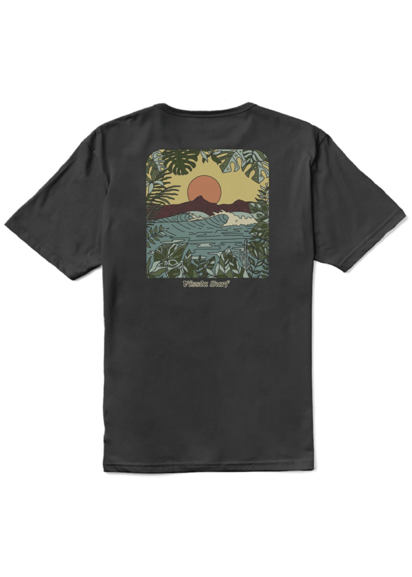 CAMISETA VISSLA WINDOW ORGANIC PHA
