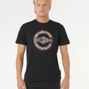 CAMISETA RIP CURL STAPLE FILL HAWAII BLK