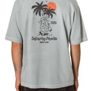 CAMISETA KATIN DELIVERY BOX NEUTRAL GREY