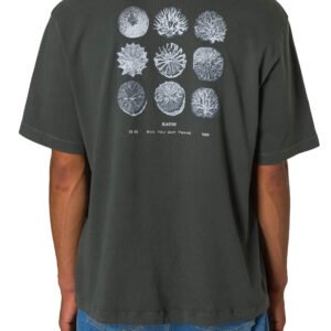 CAMISETA KATIN SPECIMEN BOX FIT BLACK WA